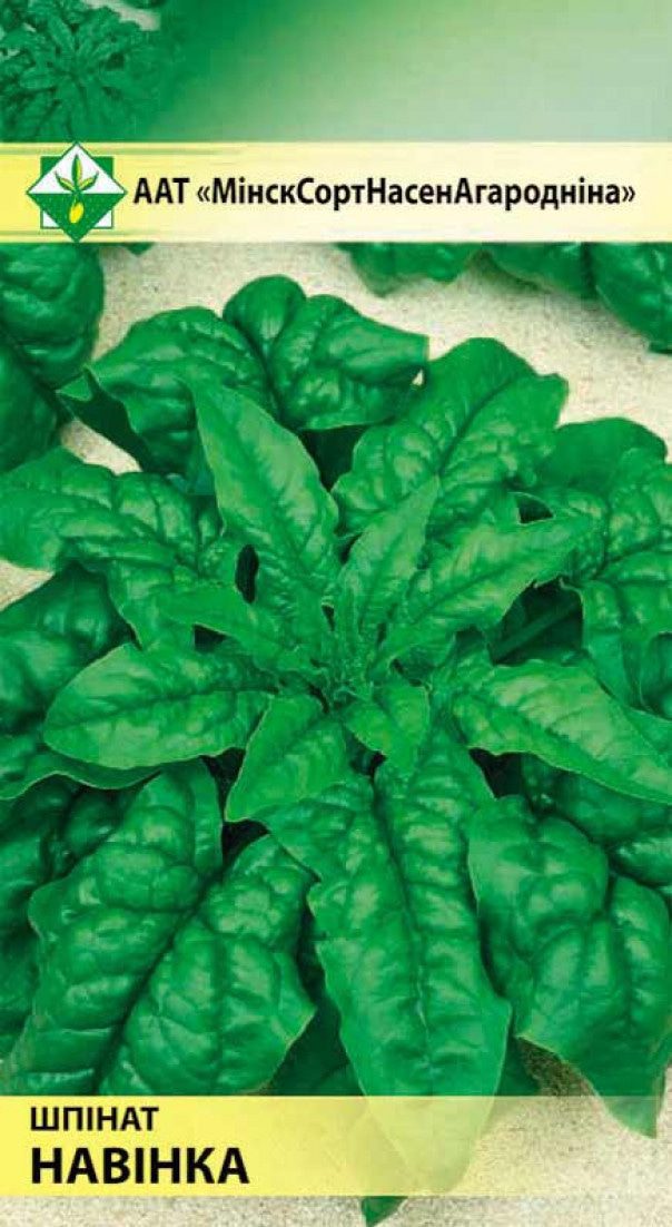 Семена шпината Новинка МИНСКСОРТСЕМОВОЩ 2 г купить в Мастак me1} купить в сети строительных магазинов Мастак