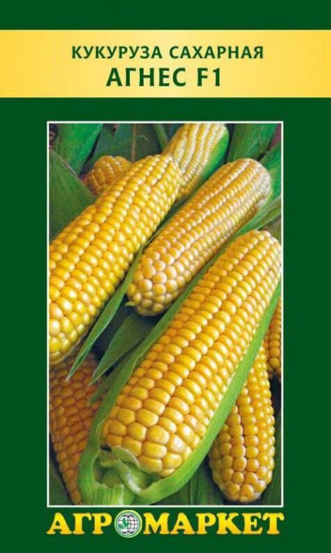 Семена кукурузы сахарная Агнес F1 АГРОМАРКЕТ 2 г купить в Мастак me1} купить в сети строительных магазинов Мастак