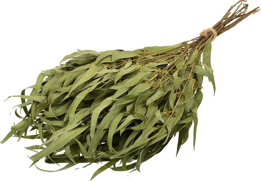 Веник HOT POT эвкалиптовый (34152) купить в Мастак Веник HOT POT эвкалиптовый (34152) купить в сети строительных магазинов Мастак