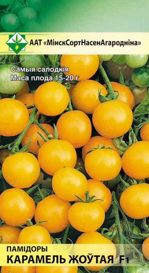 Семена томата Карамель желтая F1 МИНСКСОРТСЕМОВОЩ 15 штук купить в Мастак me1} купить в сети строительных магазинов Мастак
