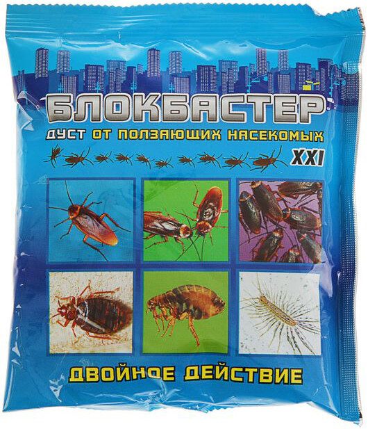 Дуст от ползающих насекомых ВАШЕ ХОЗЯЙСТВО Блокбастер ХХI 100 г купить в Мастак me1} купить в сети строительных магазинов Мастак