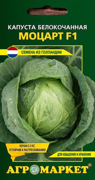 Семена капусты белокочанной Моцарт F1 АГРОМАРКЕТ 15 штук купить в Мастак me1} купить в сети строительных магазинов Мастак