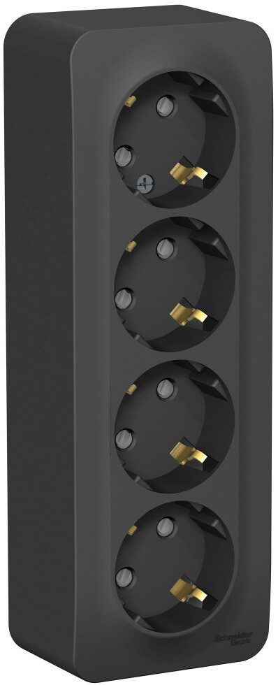 Розетка четверная наружная с заземлением SCHNEIDER ELECTRIC Blanca антрацит (BLNRA011416) купить в Мастак Розетка четверная наружная с заземлением SCHNEIDER ELECTRIC Blanca антрацит (BLNRA011416) купить в сети строительных магазинов Мастак