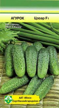 me1} купить в сети строительных магазинов Мастак