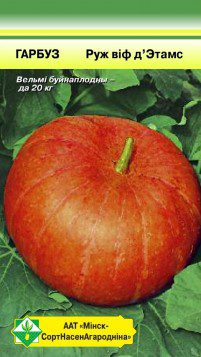 Семена тыквы Руж виф д'Этамс МИНСКСОРТСЕМОВОЩ 7 штук купить в Мастак me1} купить в сети строительных магазинов Мастак