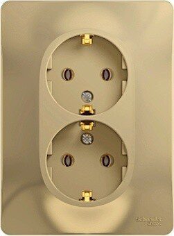 Розетка двойная скрытая с заземлением SCHNEIDER ELECTRIC Glossa титан (GSL000424) купить в Мастак Розетка двойная скрытая с заземлением SCHNEIDER ELECTRIC Glossa титан (GSL000424) купить в сети строительных магазинов Мастак