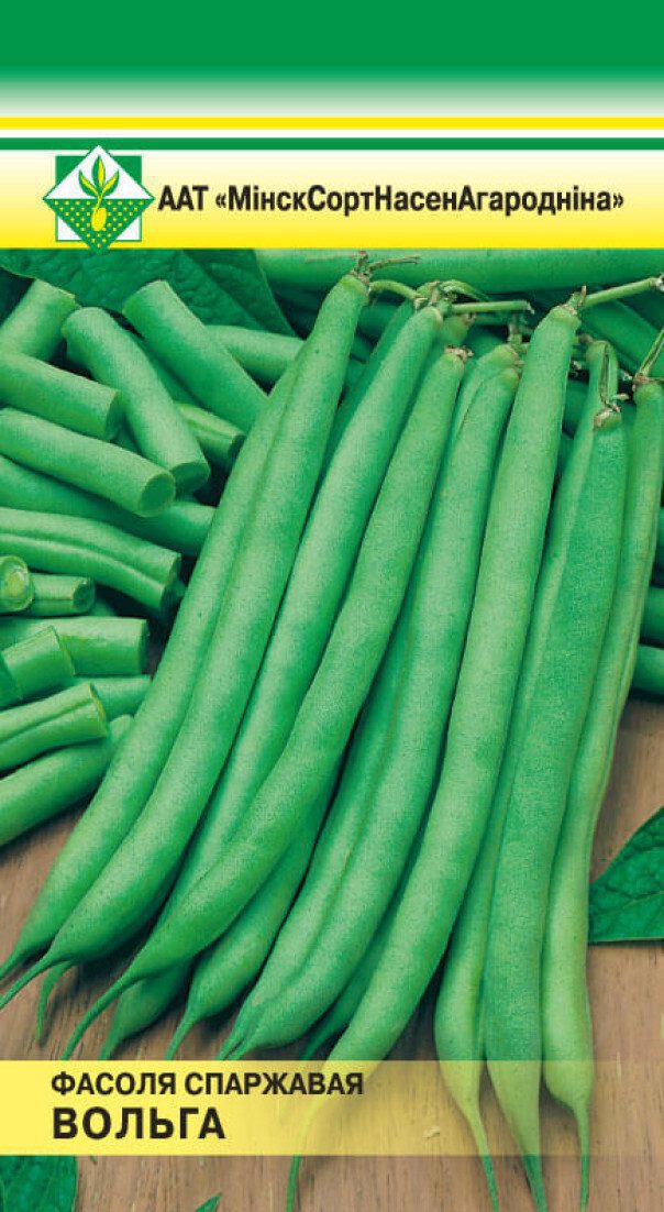 Семена фасоли Ольга спаржевая МИНСКСОРТСЕМОВОЩ 7 г купить в Мастак me1} купить в сети строительных магазинов Мастак