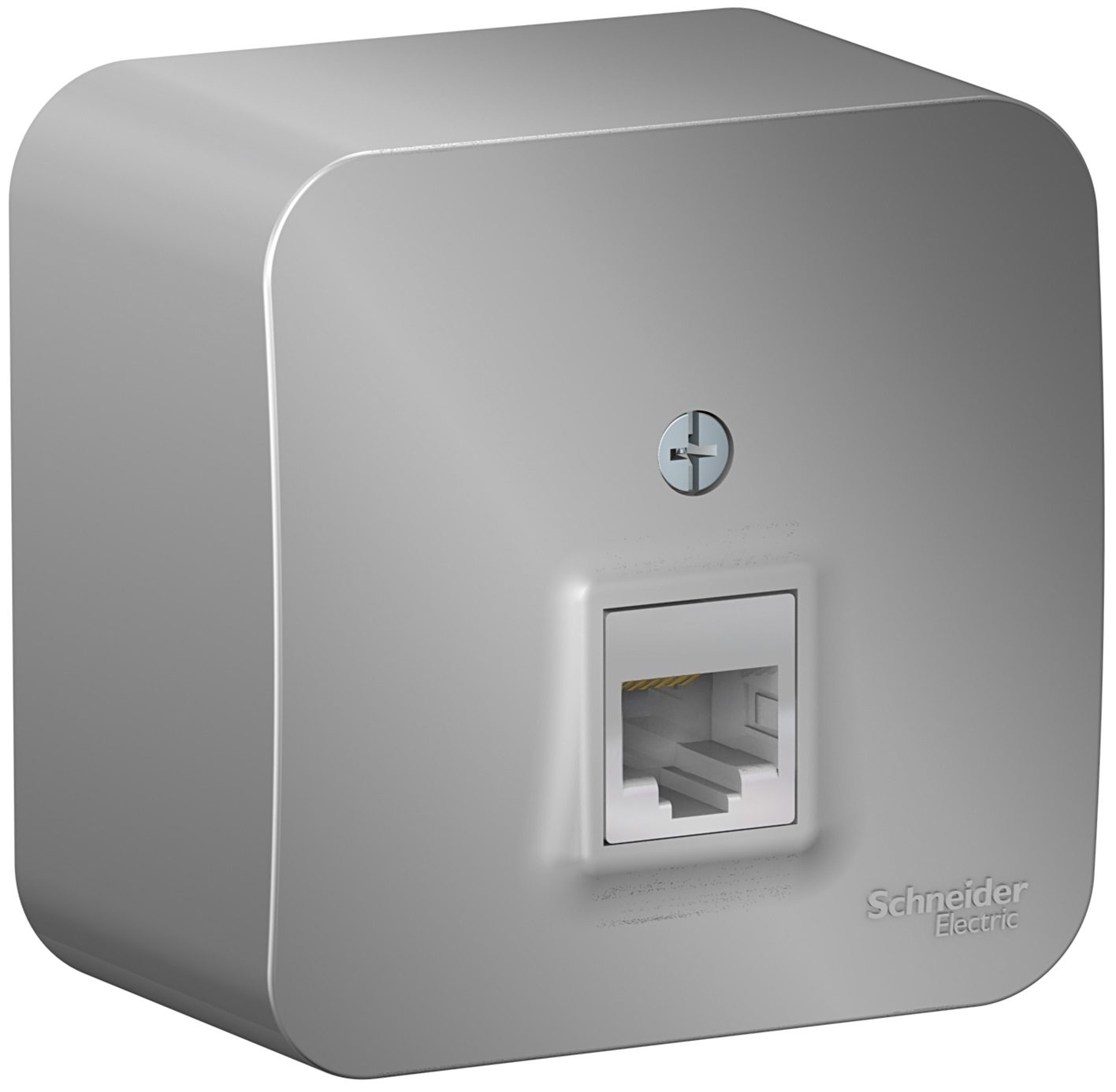 Розетка компьютерная SCHNEIDER ELECTRIC Blanca алюминий (BLNIA045003) купить в Мастак Розетка компьютерная SCHNEIDER ELECTRIC Blanca алюминий (BLNIA045003) купить в сети строительных магазинов Мастак