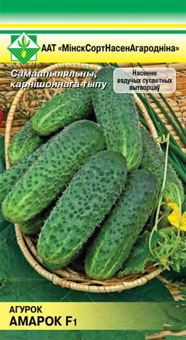 Семена огурцов Амарок F1 МИНСКСОРТСЕМОВОЩ 7 шт купить в Мастак me1} купить в сети строительных магазинов Мастак