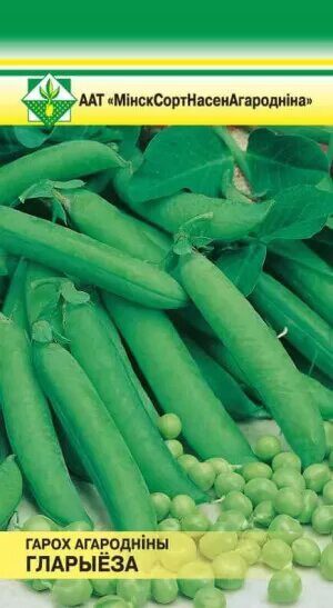 Семена гороха овощного Глориоза МИНСКСОРТСЕМОВОЩ 12 г купить в Мастак me1} купить в сети строительных магазинов Мастак