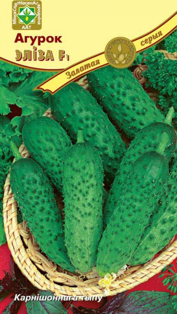 Семена огурцов Элиза F1 МИНСКСОРТСЕМОВОЩ 10 шт купить в Мастак me1} купить в сети строительных магазинов Мастак