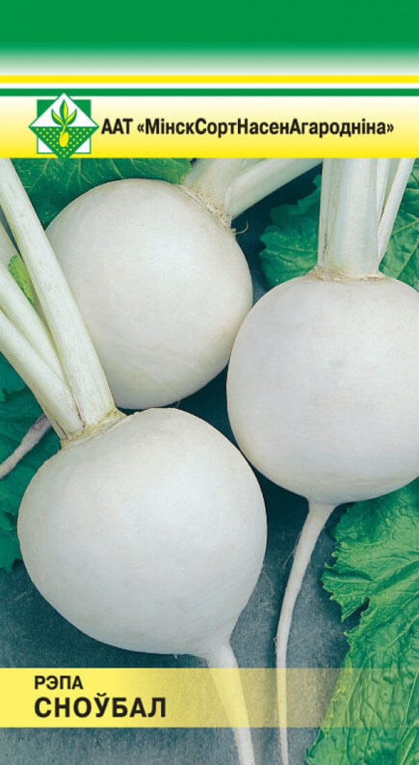 Семена репы Сноуболл МИНСКСОРТСЕМОВОЩ 0 me1} купить в сети строительных магазинов Мастак