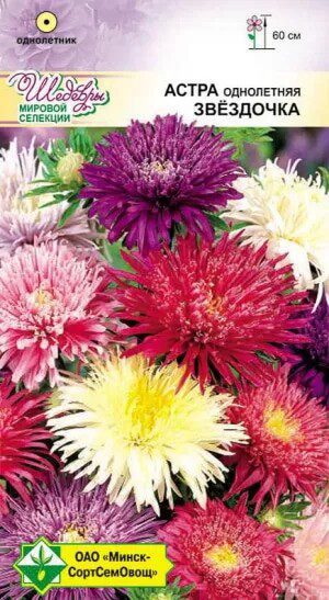 Семена астры смесь Звездочка МИНСКСОРТСЕМОВОЩ 0 me1} купить в сети строительных магазинов Мастак