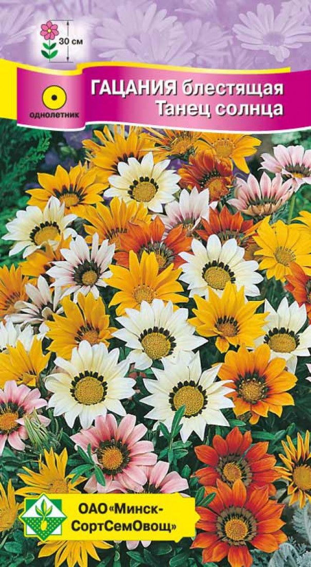 Семена гацании блестящей Танец солнца смесь МИНСКСОРТСЕМОВОЩ 0 me1} купить в сети строительных магазинов Мастак