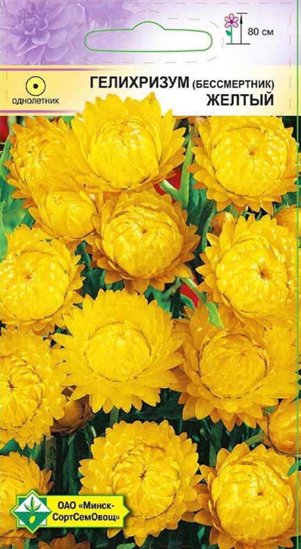 Семена гелихризума прицветникового Желтый МИНСКСОРТСЕМОВОЩ 0 me1} купить в сети строительных магазинов Мастак