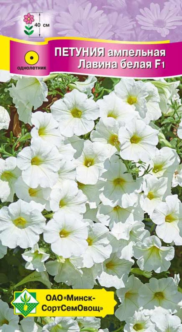 Семена петунии гибридной ампельной Лавина белая F1 МИНСКСОРТСЕМОВОЩ 7 шт купить в Мастак me1} купить в сети строительных магазинов Мастак