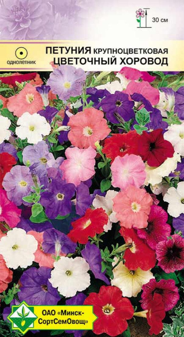 Семена петунии гибридной крупноцветковая Цветочный хоровод МИНСКСОРТСЕМОВОЩ 0 me1} купить в сети строительных магазинов Мастак