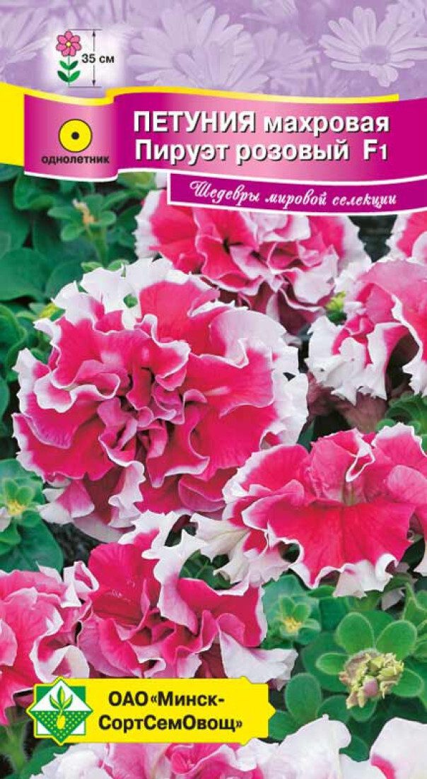 Семена петунии гибридной махровая Пируэт розовый F1 МИНСКСОРТСЕМОВОЩ 7 штук купить в Мастак me1} купить в сети строительных магазинов Мастак