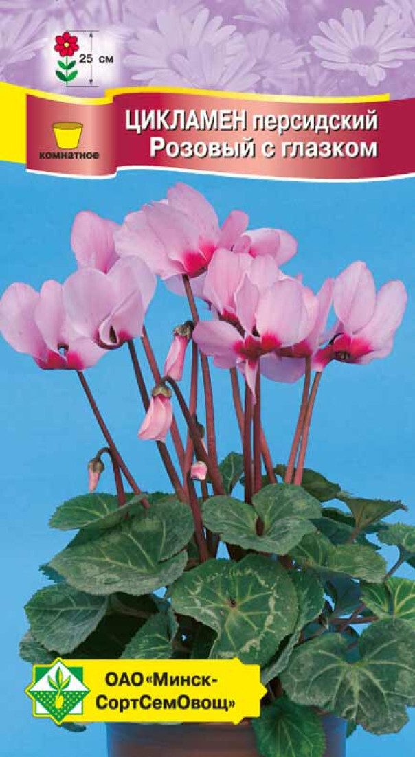 Семена цикламена персидский Розовый с глазком МИНСКСОРТСЕМОВОЩ 4 шт купить в Мастак me1} купить в сети строительных магазинов Мастак