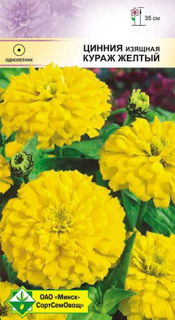 Семена циннии изящной Кураж желтый МИНСКСОРТСЕМОВОЩ0 0 me1} купить в сети строительных магазинов Мастак