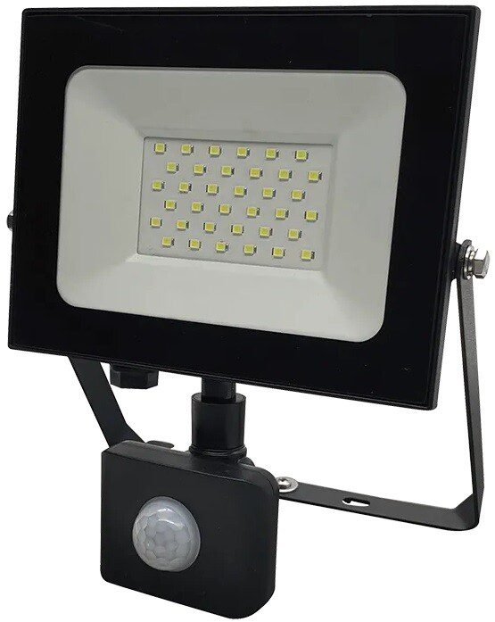 Прожектор светодиодный с датчиком движения и освещенности 30 Вт 6500К TRUENERGY Power Plus (13203) купить в Мастак Прожектор светодиодный с датчиком движения и освещенности 30 Вт 6500К TRUENERGY Power Plus (13203) купить в сети строительных магазинов Мастак