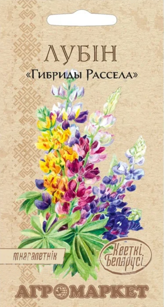 Дизайн без названия - 2024-01-30T111031.697