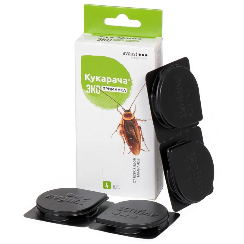 Дизайн без названия - 2024-01-04T121638.519