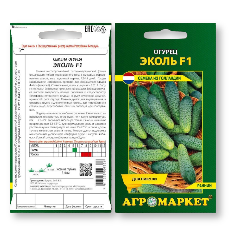 Дизайн без названия - 2024-01-04T164608.067