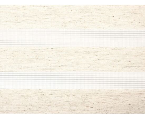 Рулонная штора ДН LB 10-09, 43х160см