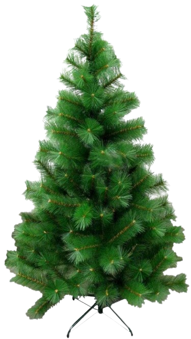 101173701_0-removebg-preview