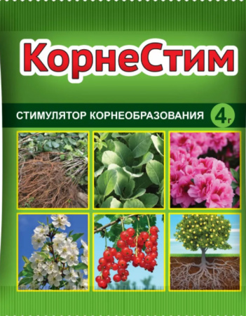 53e91f0d5fd2035b00c9a3b51f42e64c