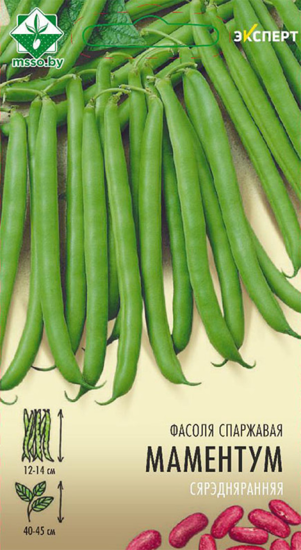 Фасоль Моментум спаржевая 8г (Эксперт) (семена)