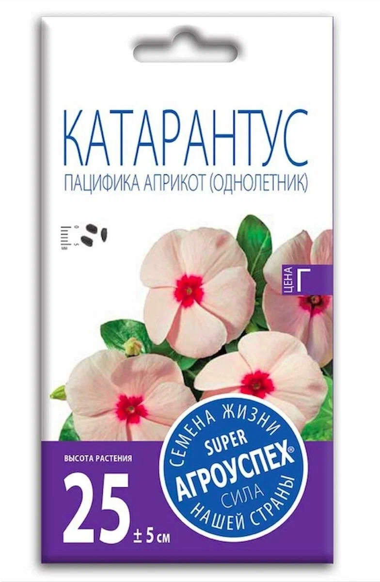 имитт
