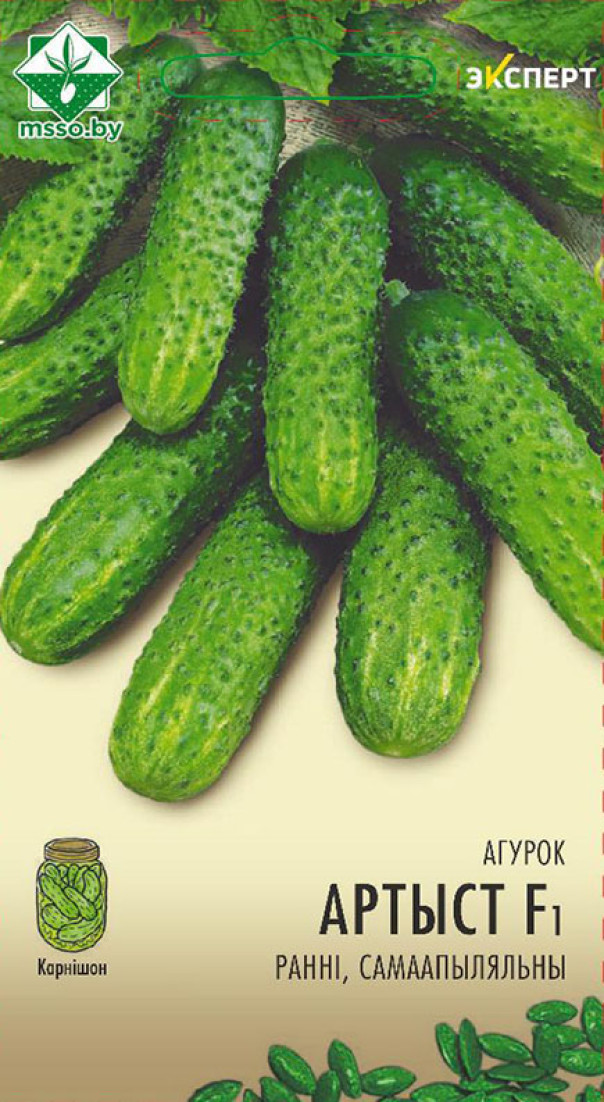 Огурец Артист