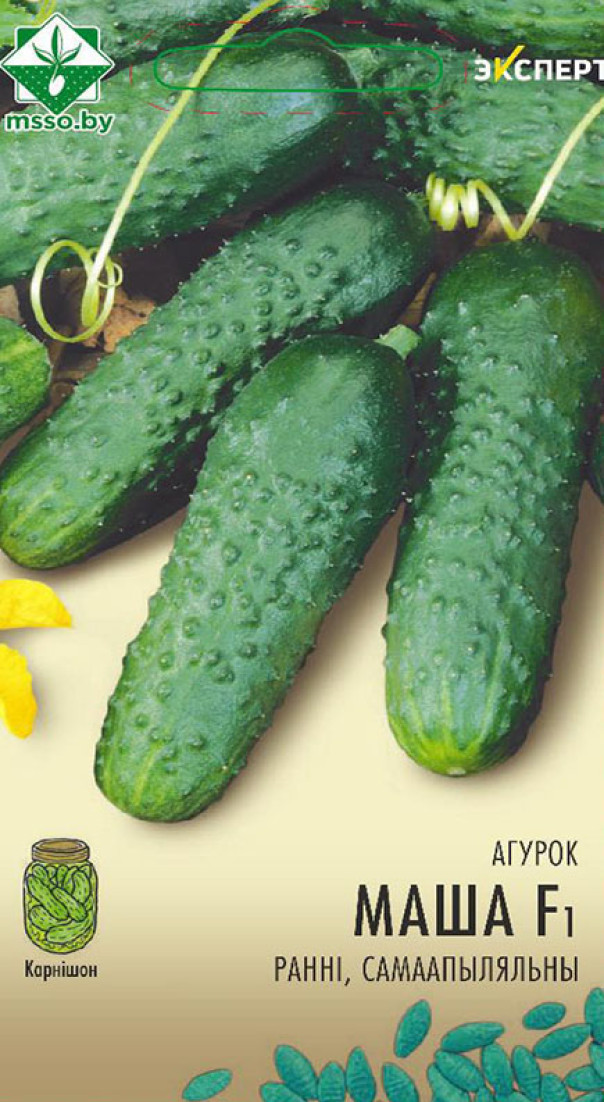 Огурец Маша