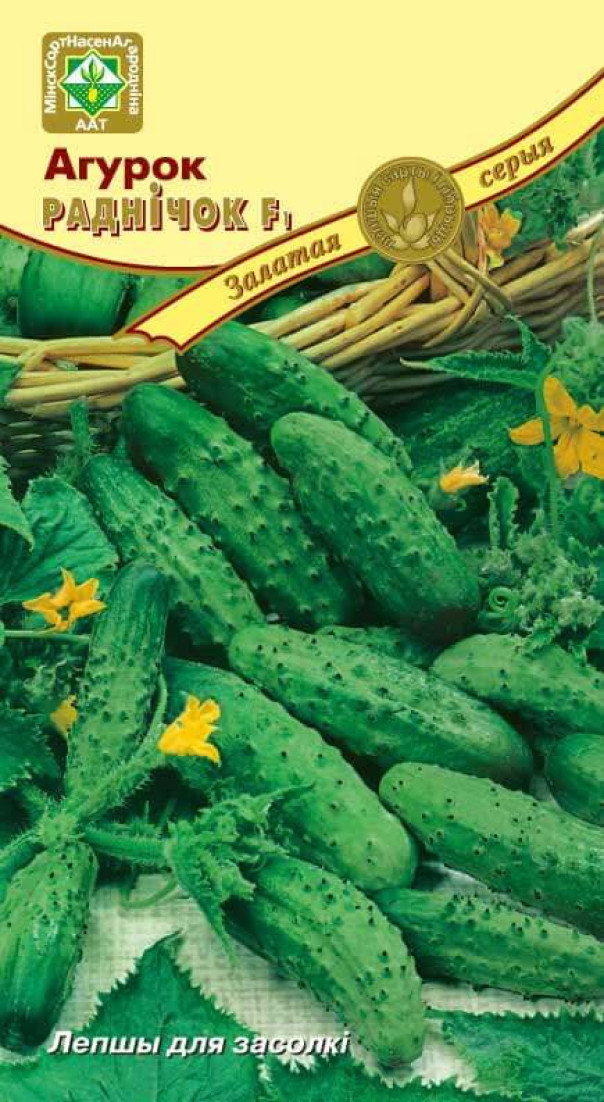 Огурец Родничок