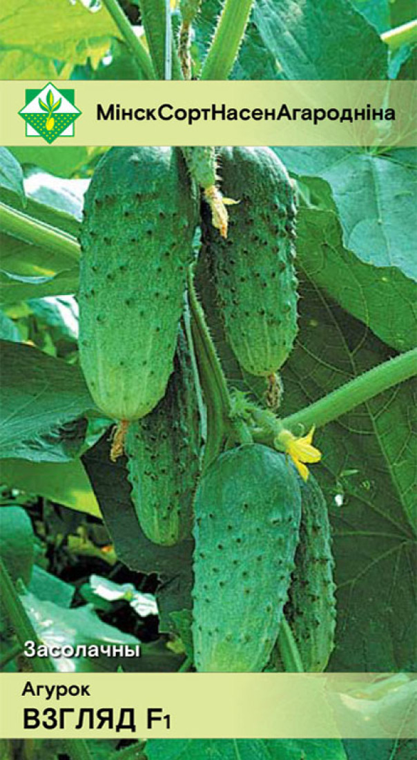 Огурец Взгляд