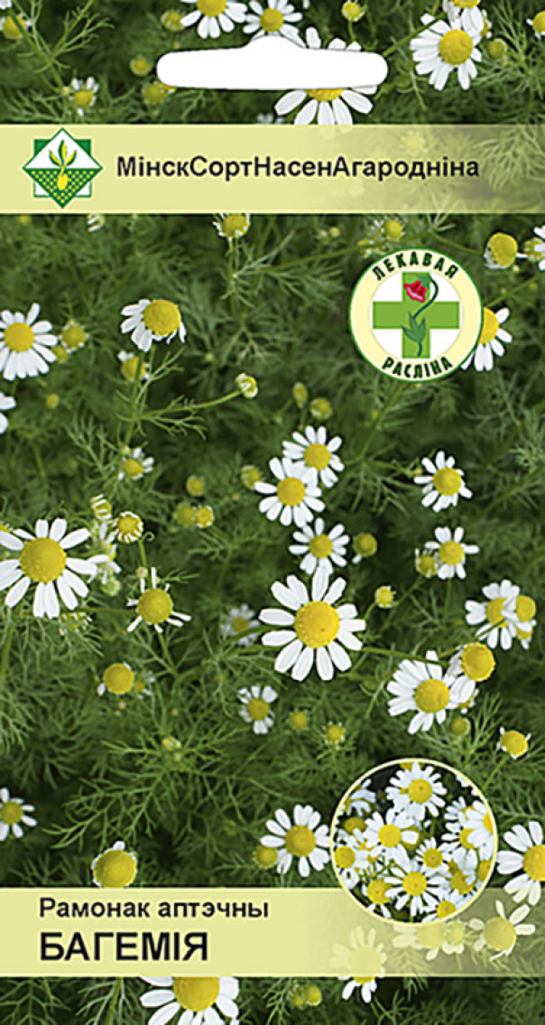 Ромашка аптечная Богемия 0,2 г (семена)