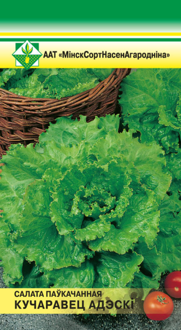 Салат Кучерявец Одесский полукочанный 0.5г