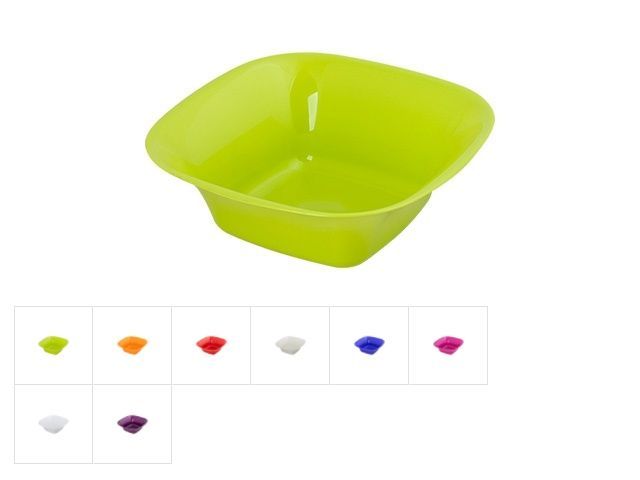 salatnik_12x12x4_sm_tsveta_v_assortimente_drina_10145