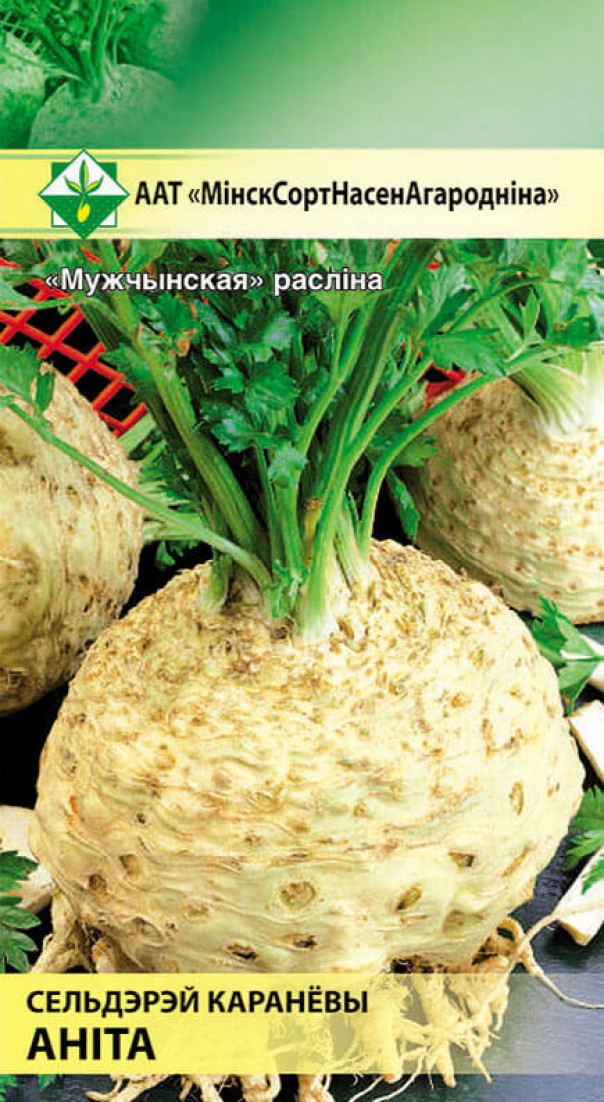 Сельдерей корневой Анита 0.3г