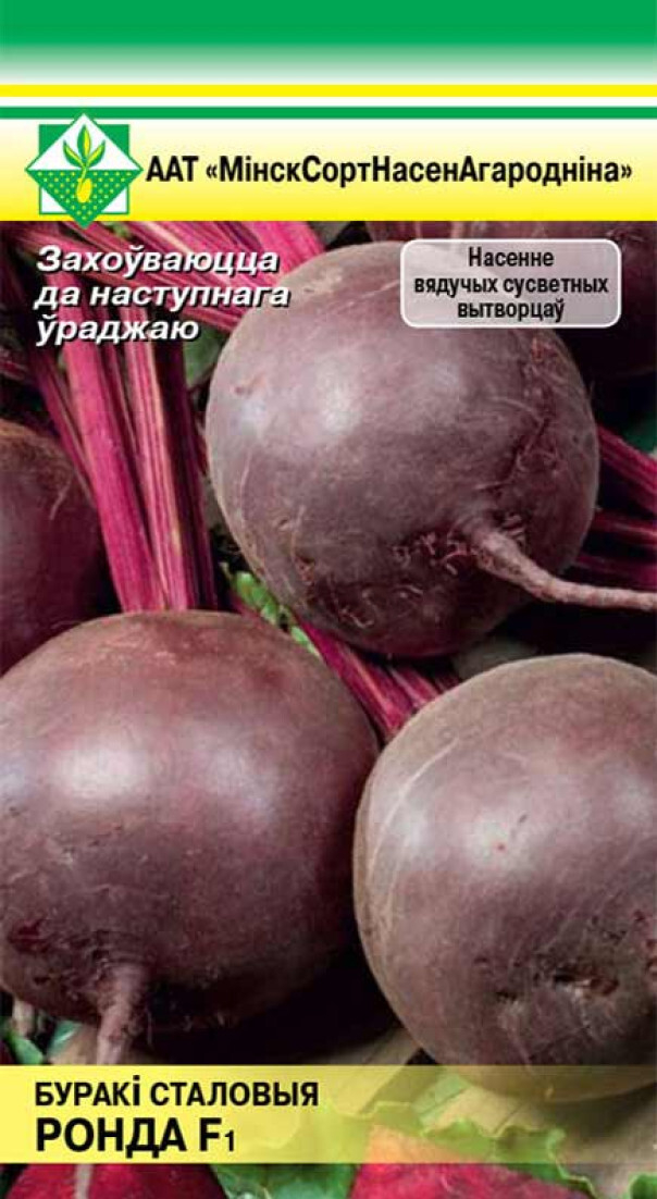 Семена свеклы столовой Ронда F1