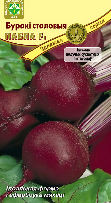 Upscales.ai_1707305969988