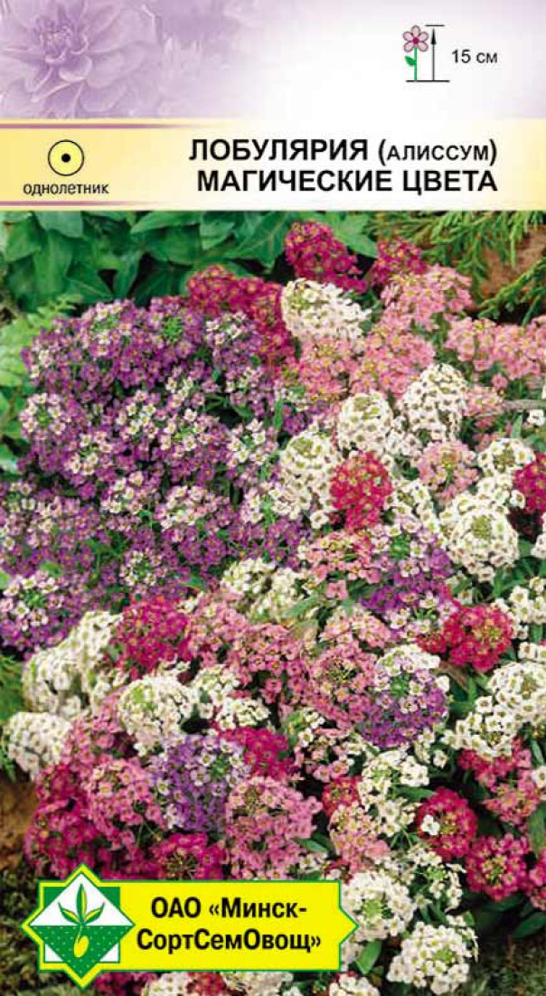 Алиссум (лобулярия) Магические цвета, 0,2 г