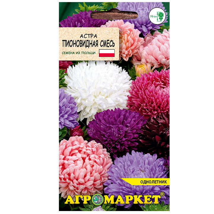 Астра калина