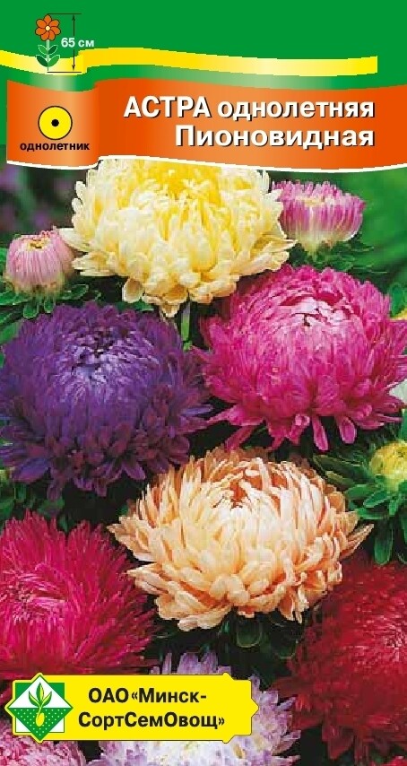 Астра Пионовидная см 0,3г