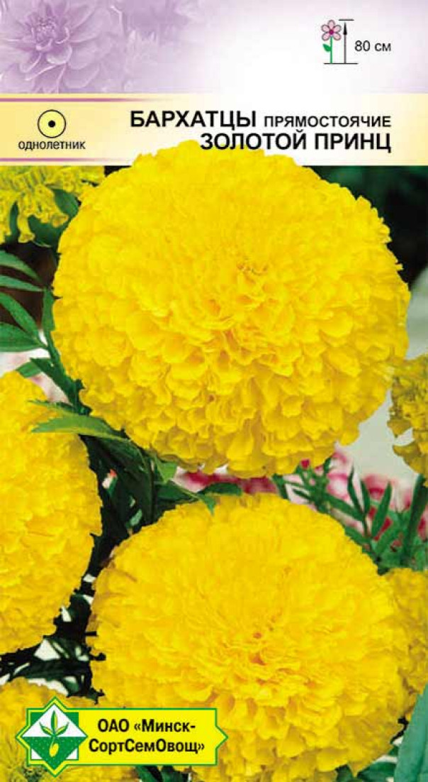 Бархатцы прямостоячие Золотой принц 0,5г