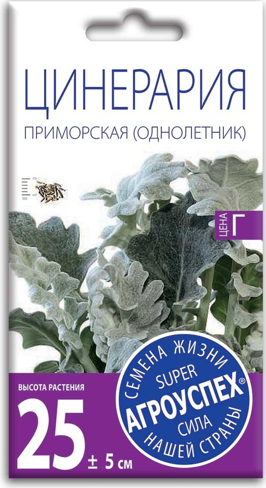 Цинерария ПРИМОРСКАЯ О 0,1