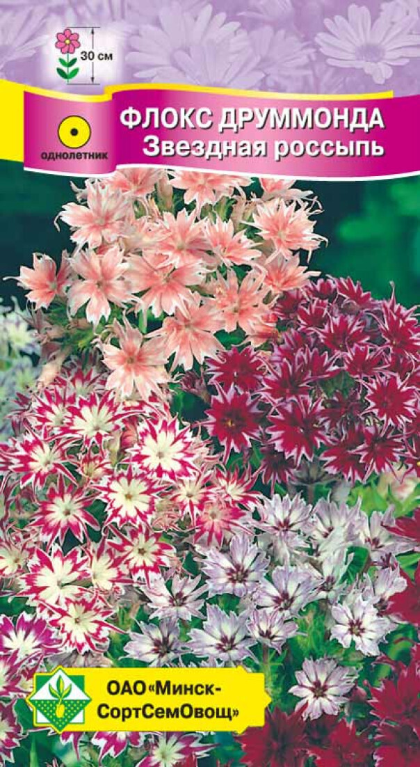 Флокс Друммонда крупноцветковая см 0,3г