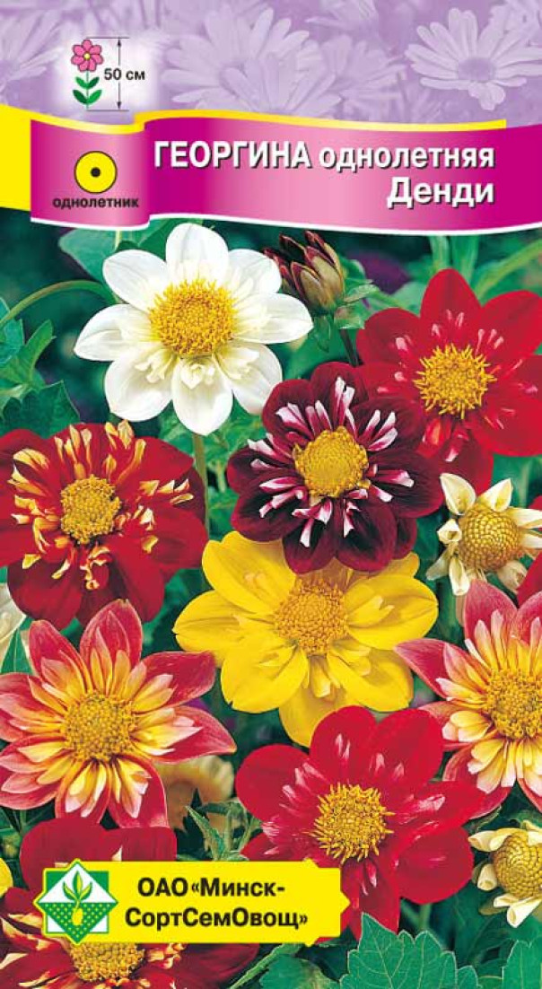 Георгина однолет Денди см 0,3г